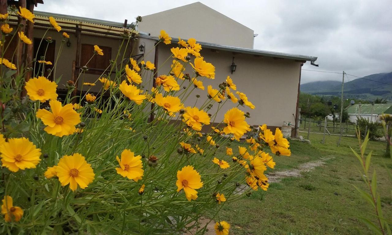 Posada La Sofia Tafí del Valle エクステリア 写真